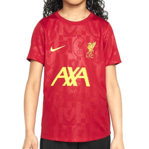 Camiseta Nike Liverpool niño Pre-Match Dri-Fit FQ0013 688